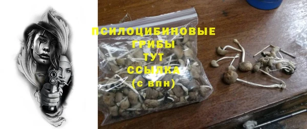 ГАЛЛЮЦИНОГЕННЫЕ ГРИБЫ Зерноград