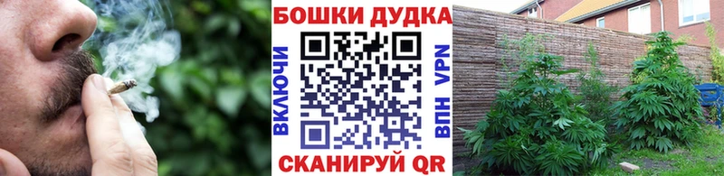 Купить где  Новоузенск  Марихуана конопля 